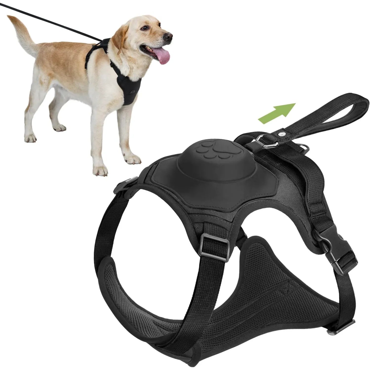 Harnais pour chien avec laisse rétractable intégrée