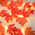 Guirlande Lumineuse LED d'Automne - 2/3/6M