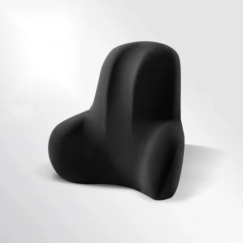 Coussin Soutien Lombaires 2 en 1 à Mémoire de Forme