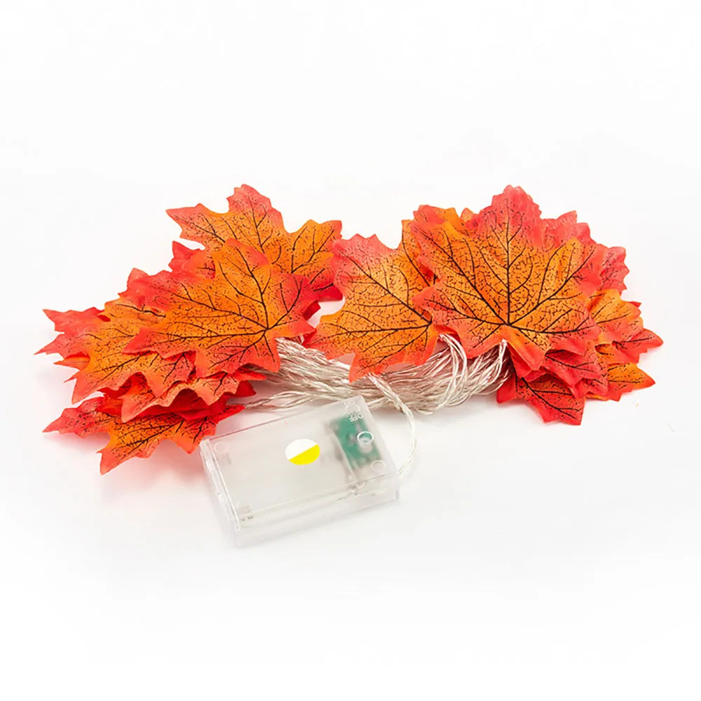 Guirlande Lumineuse LED d'Automne - 2/3/6M