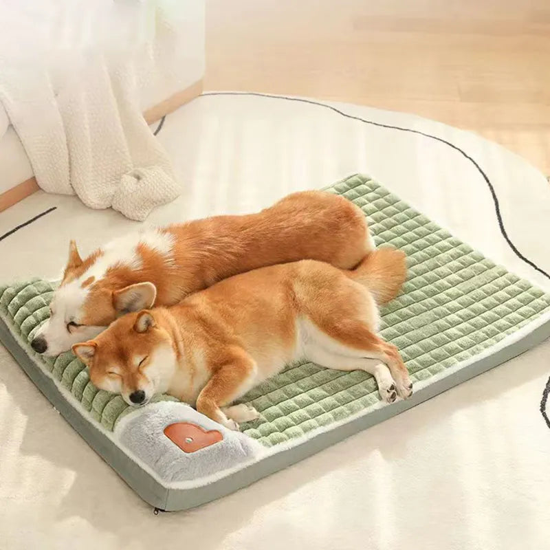 CozyCanap' : Le lit avec coussin intégré TOUT DOUX pour chiens