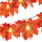 Guirlande Lumineuse LED d'Automne - 2/3/6M