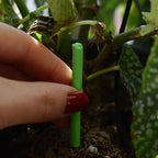 100x Barres Nutritives pour Plantes à Libération Lente