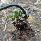 Désherbeur de Jardin Manuel - Sans Effort