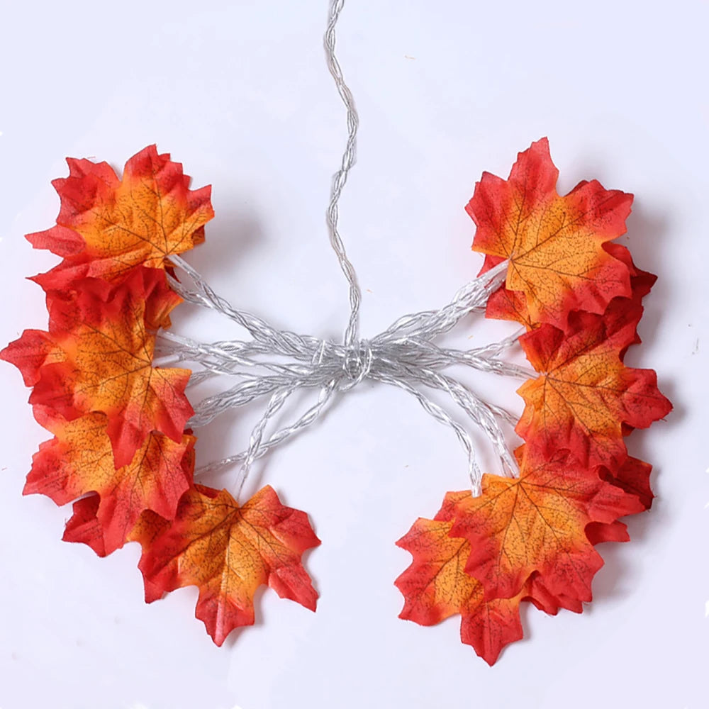 Guirlande Lumineuse LED d'Automne - 2/3/6M