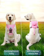 Harnais pour chien avec laisse rétractable intégrée