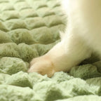 CozyCanap' : Le lit avec coussin intégré TOUT DOUX pour chiens