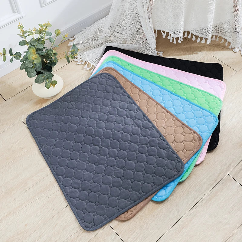 Alaise lavable et réutilisable pour chiens pour apprentissage des besoins