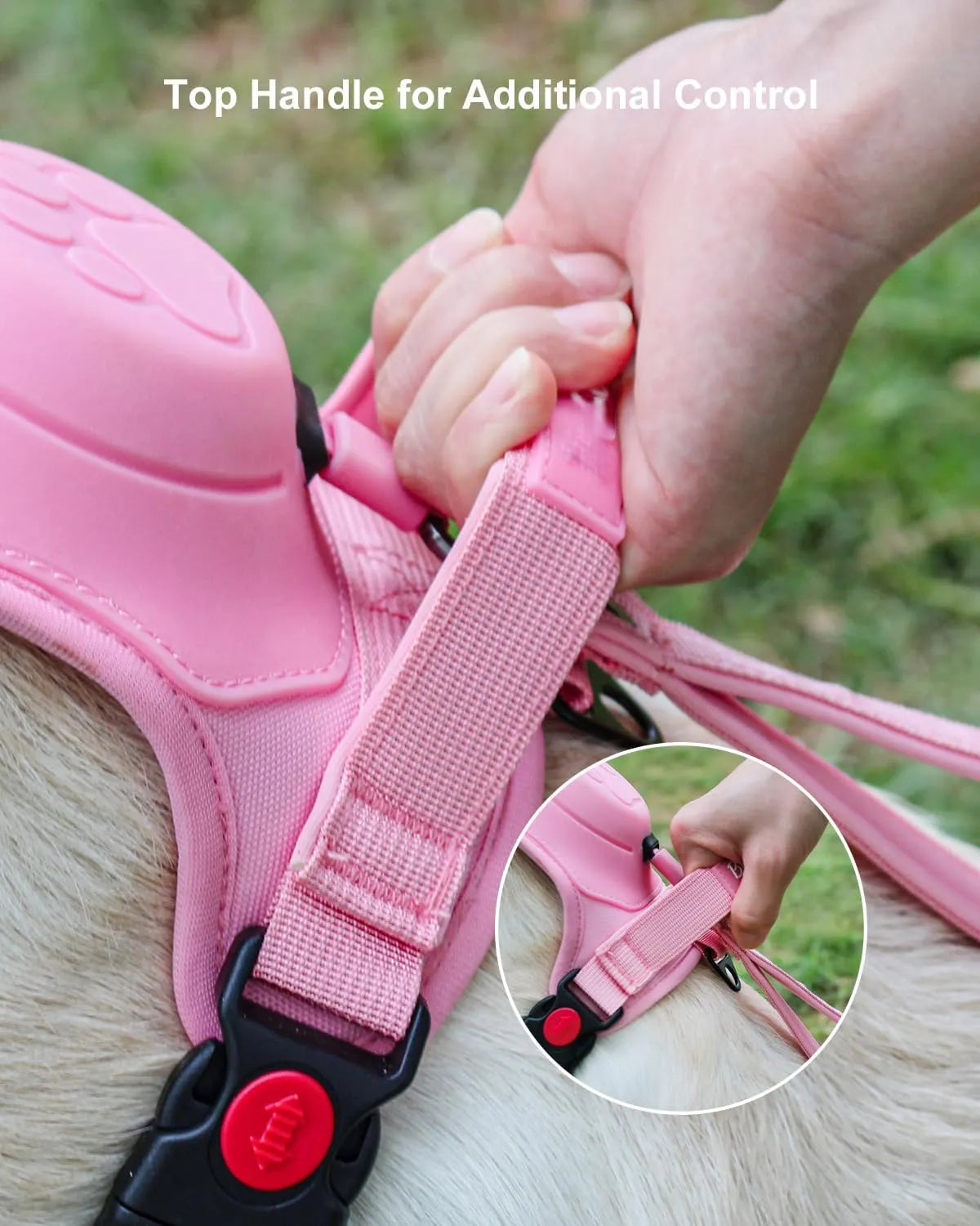 Harnais pour chien avec laisse rétractable intégrée