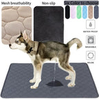 Alaise lavable et réutilisable pour chiens pour apprentissage des besoins