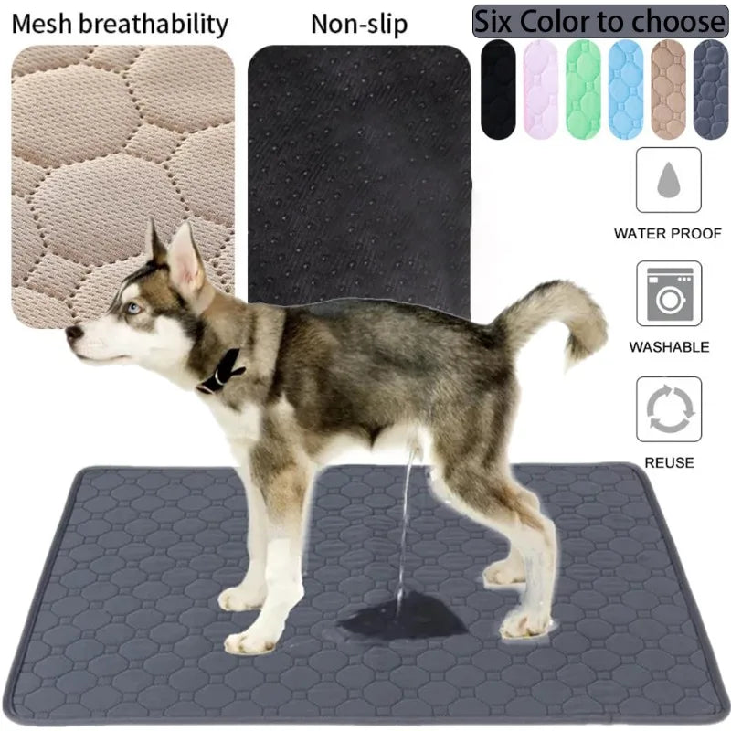 Alaise lavable et réutilisable pour chiens pour apprentissage des besoins