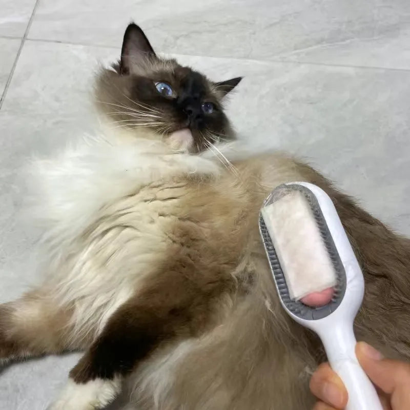 Brosse à poils en plastique avec réservoir d'eau