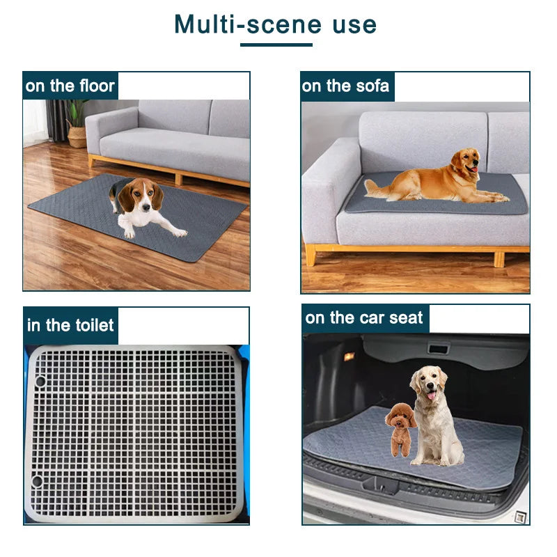 Alaise lavable et réutilisable pour chiens pour apprentissage des besoins
