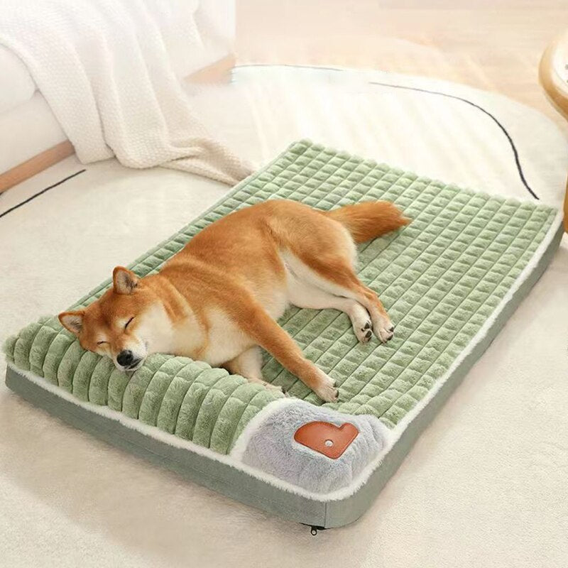 CozyCanap' : Le lit avec coussin intégré TOUT DOUX pour chiens