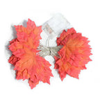 Guirlande Lumineuse LED d'Automne - 2/3/6M