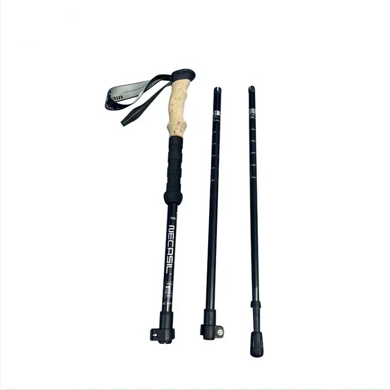 Lot de 2 bâtons de marche nordiques en aluminium léger - Kit Complet 11 pièces