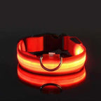 Collar with waterproof LED lighting