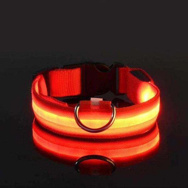 Collar with waterproof LED lighting