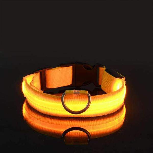 Collar with waterproof LED lighting