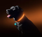 Collier avec éclairage LED waterproof