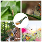 Attrape Insectes avec manche et Loupe d'Observation