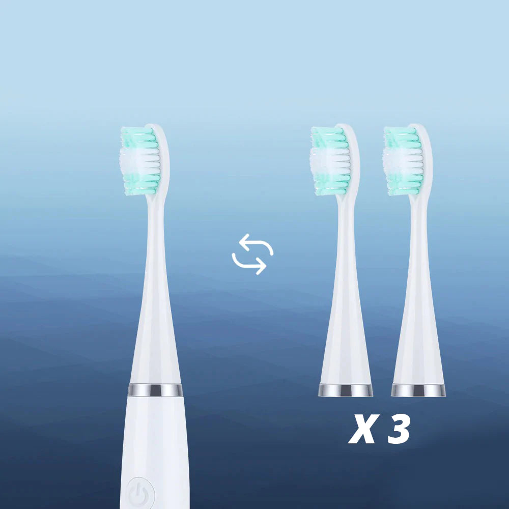 Brosse à dents et détartreur électrique