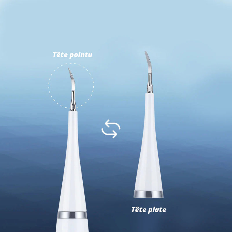 Brosse à dents et détartreur électrique