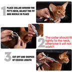 PROTECT : Collier antiparasites pour chiens et chats
