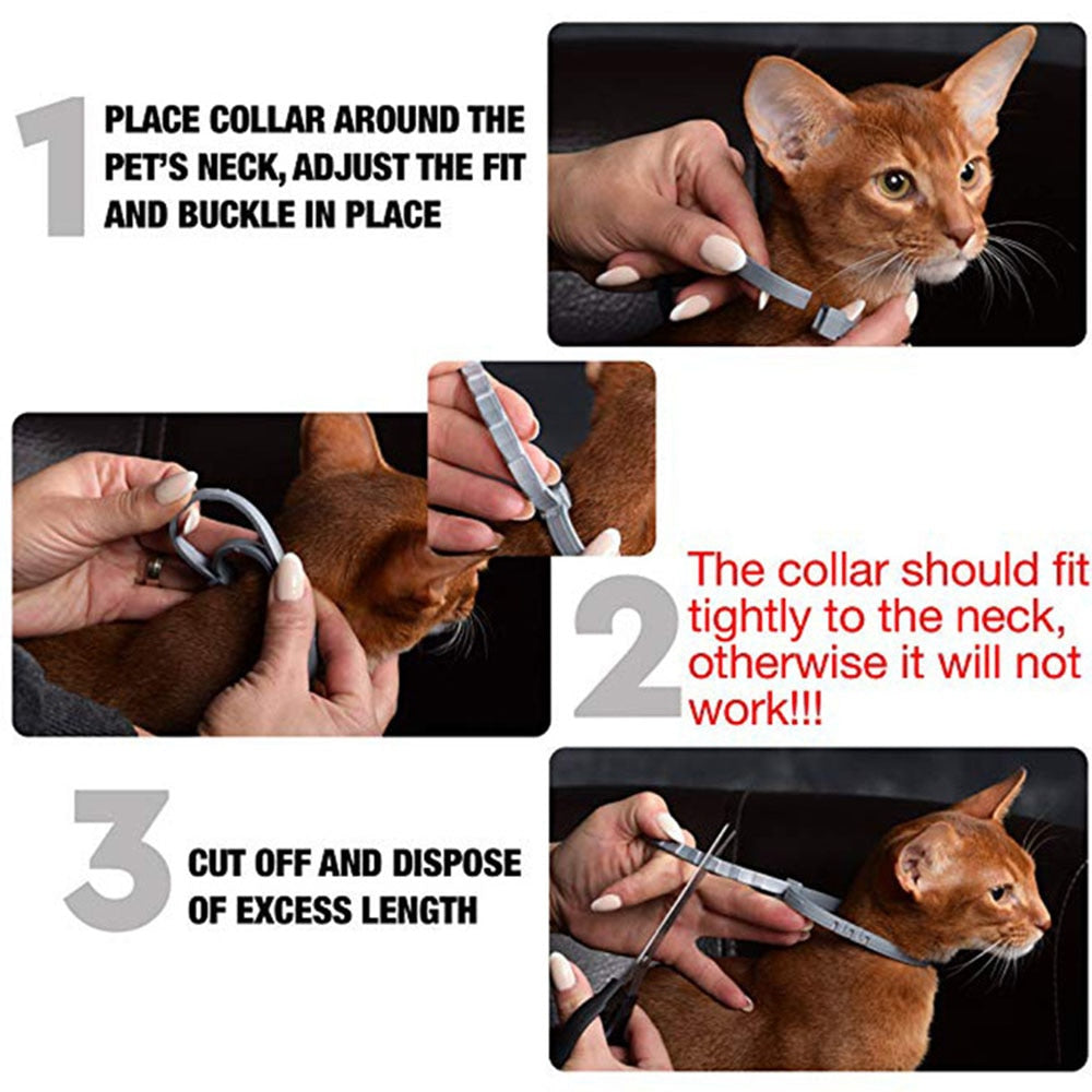 PROTECT : Collier antiparasites pour chiens et chats